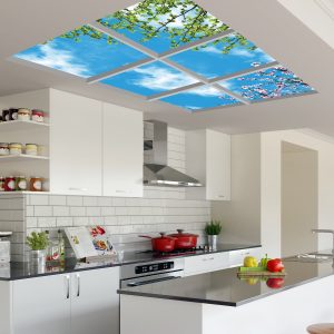 آسمان مجازی شکوفه و برگ 2x3-1