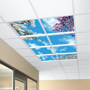 آسمان مجازی شکوفه سفید 2x4-11