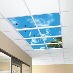 آسمان مجازی نخل و پرنده 2x4-19-