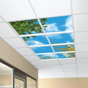 آسمان مجازی شکوفه و برگ 2x4-25