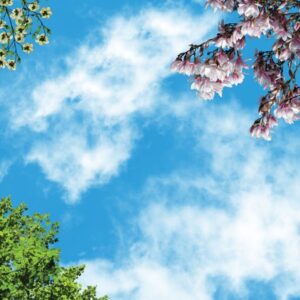 آسمان مجازی درخت سبز و شکوفه های زرد و ارغوانی 2x3-6