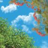 آسمان مجازی درخت و گل 2x2-12