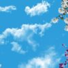 آسمان مجازی شکوفه سفید 2x4-11