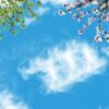 آسمان مجازی شکوفه و برگ 2x3-1