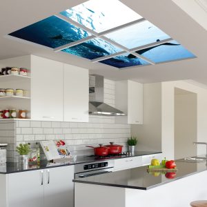 آسمان مجازی دلفین زیر آب 2x3-20