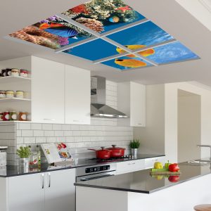 آسمان مجازی ماهی و مرجان زیر آب 2x3-21