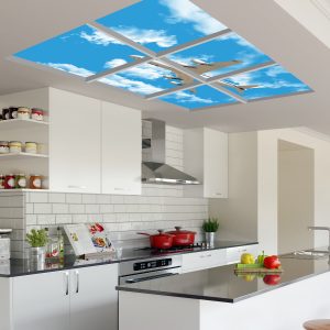 آسمان مجازی هواپیما 2X3-43