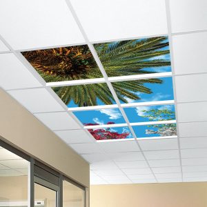 آسمان مجازی نخل و شکوفه 2x4-10