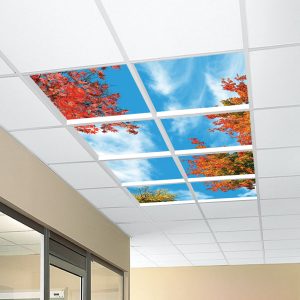 آسمان مجازی درختان پاییزی 2x4-2