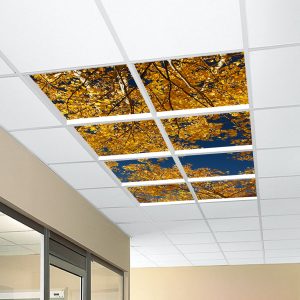 آسمان مجازی درختان زرد 2x4-22