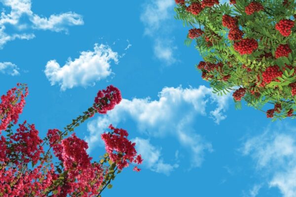 آسمان مجازی درخت و گل 2x3-28-