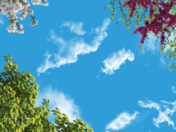 آسمان مجازی درخت و گل 3x4-7