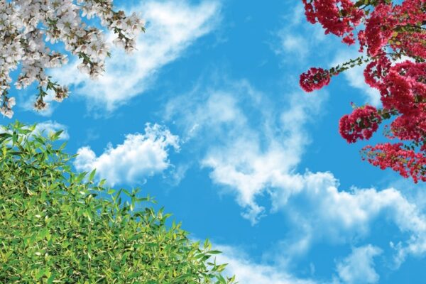 آسمان مجازی گل و شکوفه 2x3-58