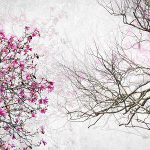 پوستر درخت شکوفه دار و شاخه خشکیده روی زمینه روشن