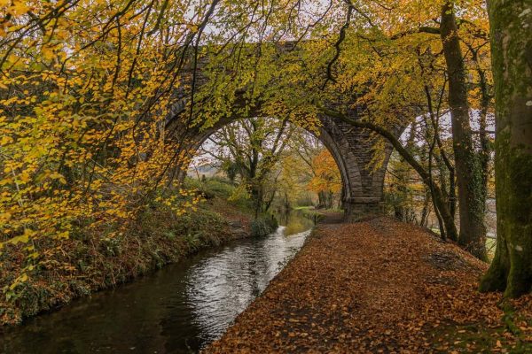 پوستر منظره رودخانه و پل سنگی با درختان پاییزی