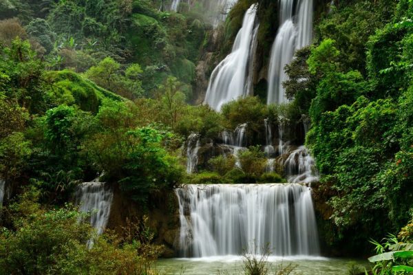 پوستر آبشار زیبای بلند در بین درختان سرسبز جنگلی