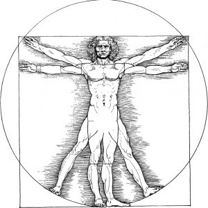 استیکر شفاف طرح بدن انسان داوینچی CST-03