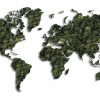 استیکر شفاف نقشه قاره ها کره زمین پوشیده شده با گیاهان به رنگ سبز CST-WORLD-M46