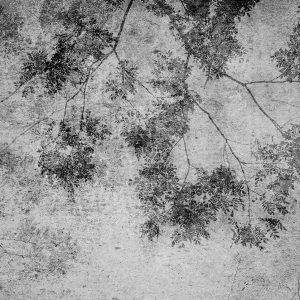 کاغذ دیواری پتینه طرح درخت سیاه و خاکستری