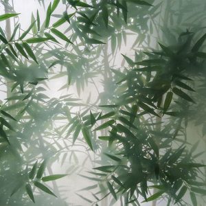 برچسب شیشه مات کن استیکر گیاهان پشت شیشه در مه
